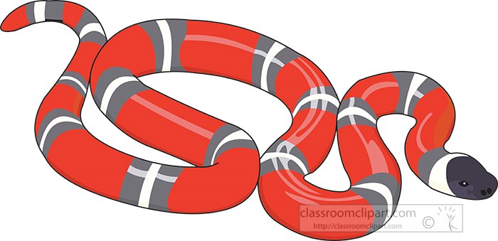 red-white-gray-black-snake-clipart.jpg