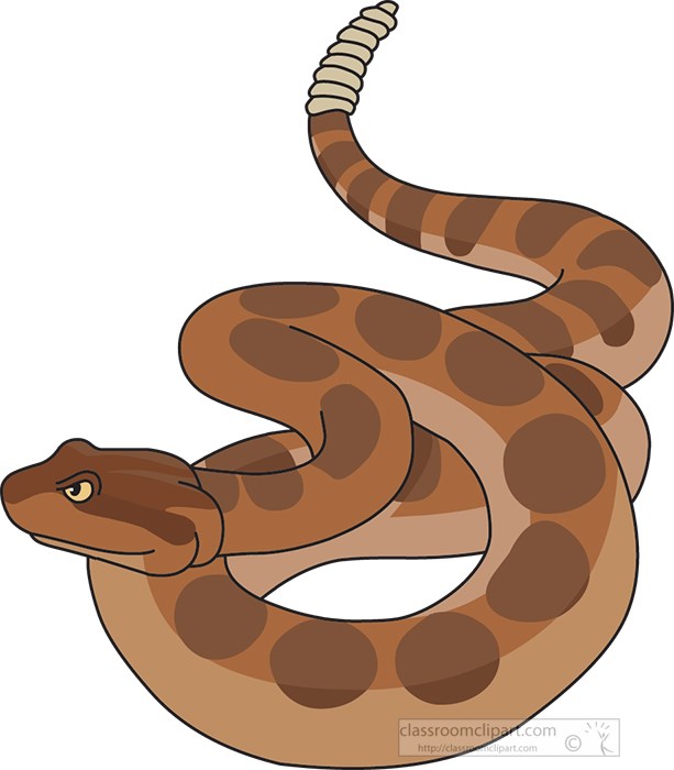 reptiles-brown rattlesnake-clipart.jpg
