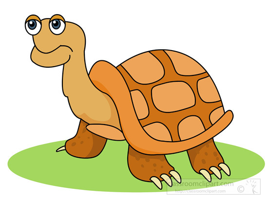 big-old-brown-tortoise.jpg