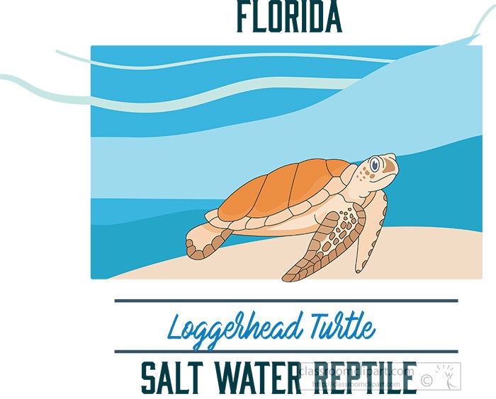 florida-state-saltwater-reptile-loggerhead-turtle-vector-clipart-image.jpg