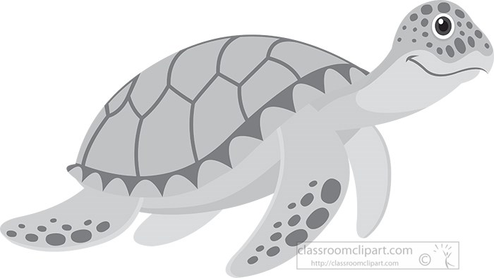 green-sea-turtle-marine-animal-gray-clipart.jpg