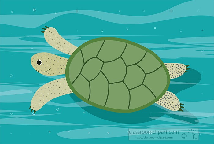 green-sea-turtle-swimming-in-ocean-clipart.jpg