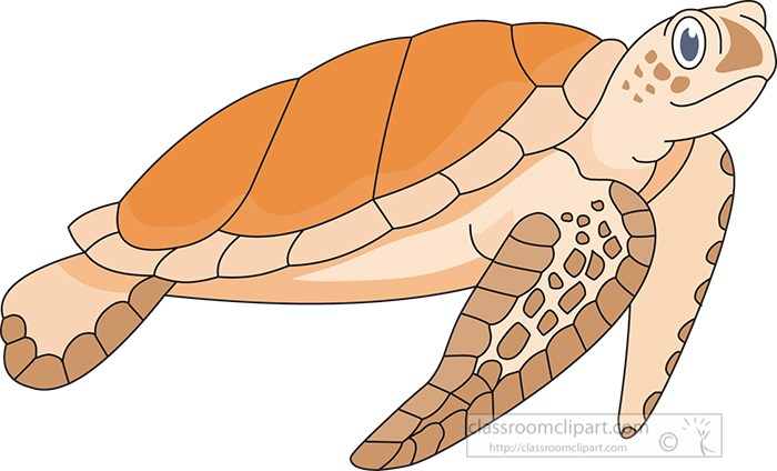 sea-turtle-clipart.jpg