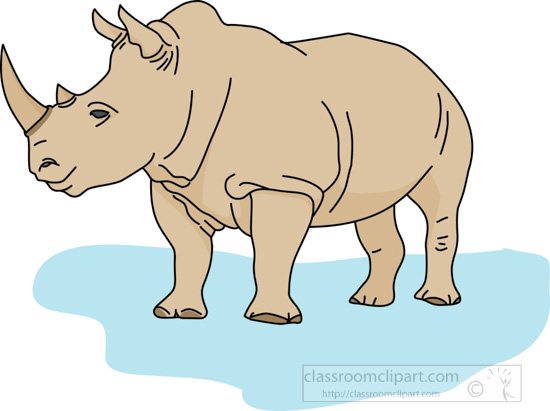 rhinoceros_04B.jpg