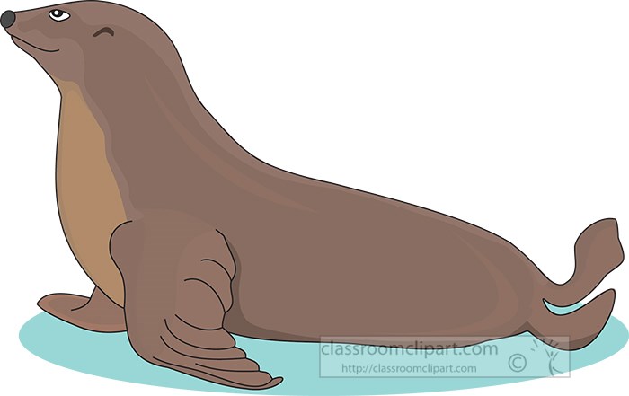 seal-marine-mammal-clipart.jpg
