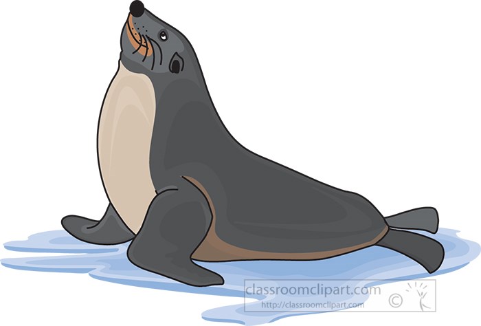 seal-sitting-in-water-clipart.jpg