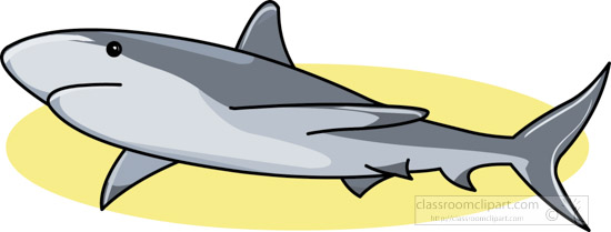 shark-fins-head-.jpg
