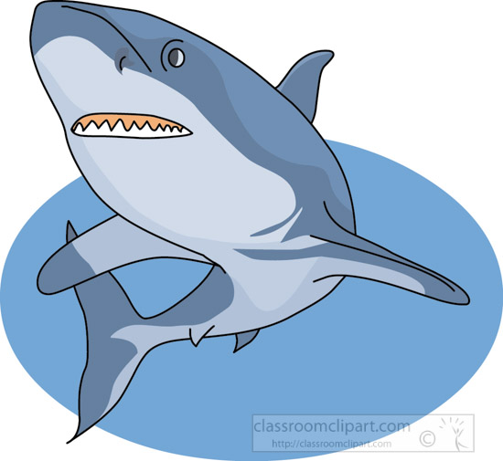 shark_swimming-06A.jpg