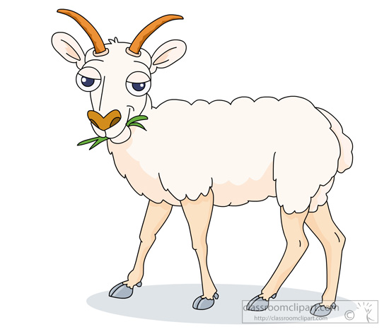 sheep-eating-grass-in-mouth.jpg