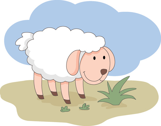 sheep-on-farm-3.jpg