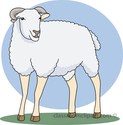 sheep_412.jpg