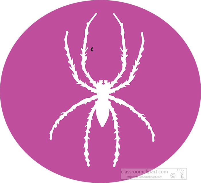 animal-spider-round-icon-clipart.jpg