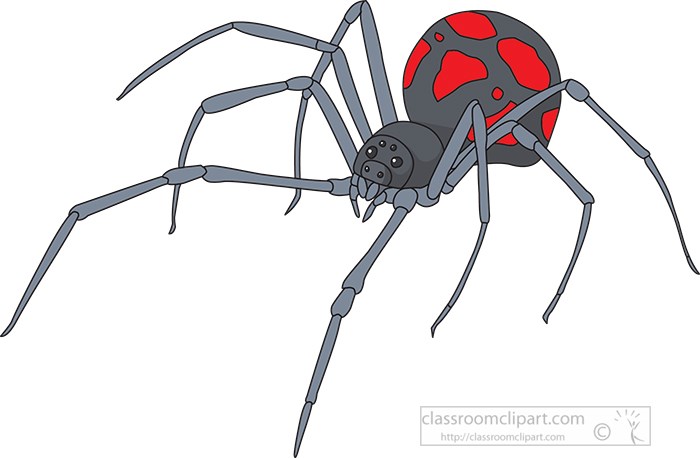 black--widow-spider-413.jpg