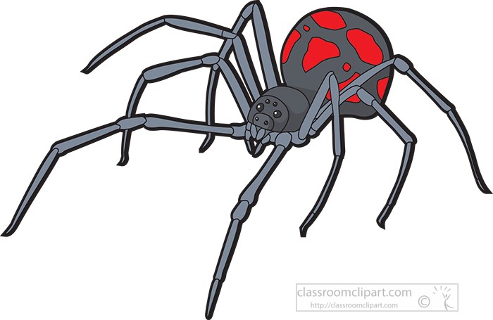 black--widow-spider-413a.jpg