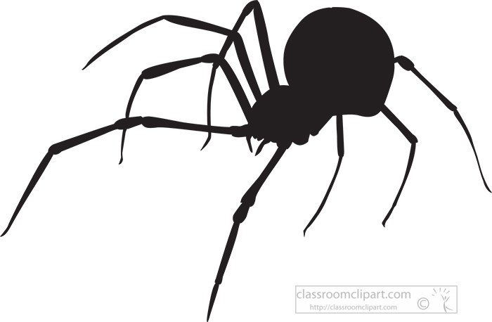 black--widow-spider-silhouette-413.jpg