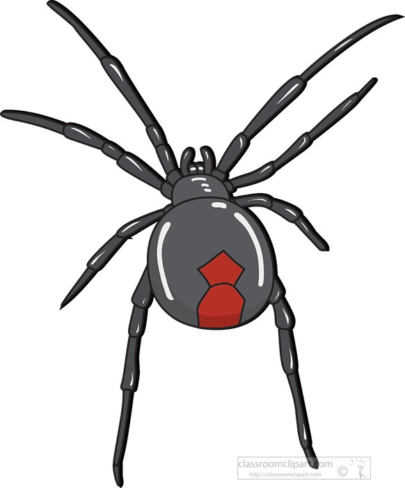 black-widow-spider-730.jpg