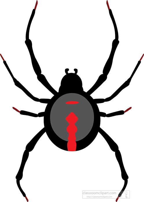black-widow-spider-arachnid-clipart.jpg