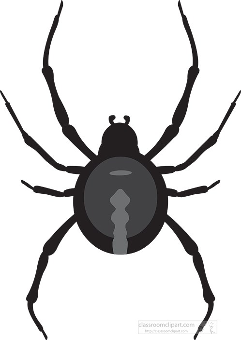 black-widow-spider-insect-gray-clipart.jpg