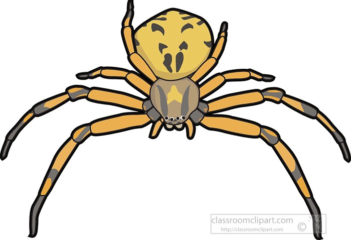 crab-spider-clipart.jpg