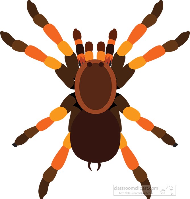 large-tarantula-spider-clipart.jpg