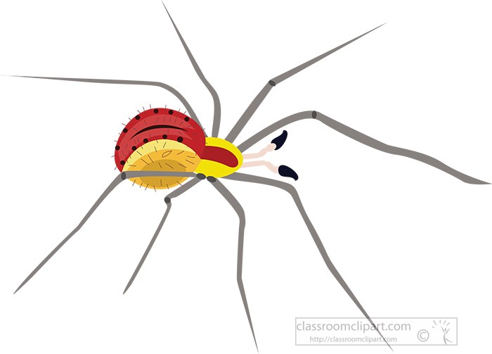 red-yellow-spider-vector-clipart.jpg