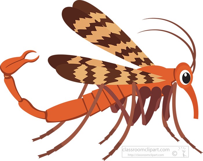 scorpion-fly-insect-clipart.jpg