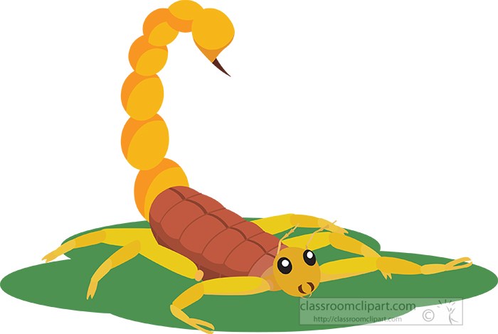 scorpion-insect-clipart.jpg