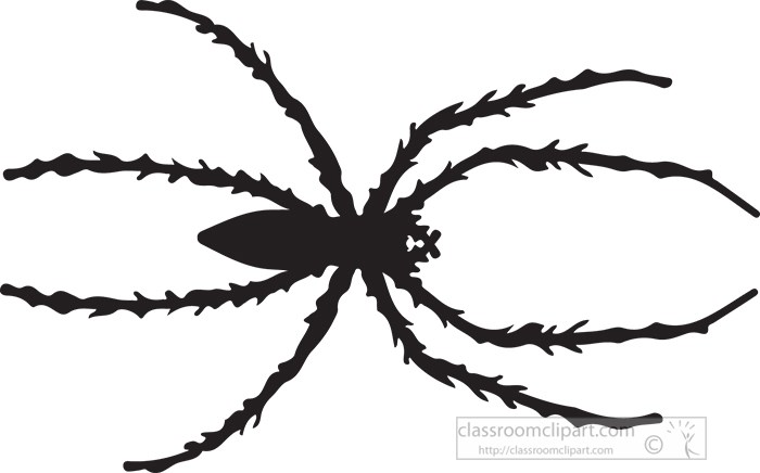 spider-black-silhouette-clipart.jpg