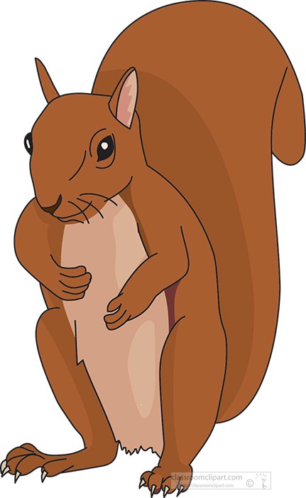 squirrel-standing-with-large-fluffy-tail-clipart.jpg