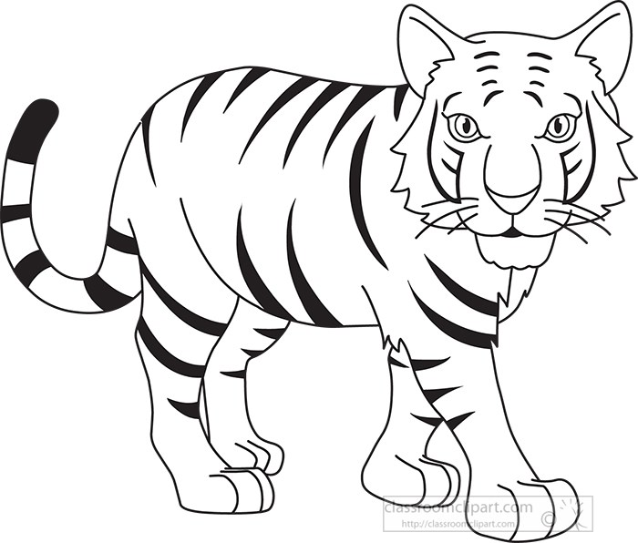 stripped-bengal-tiger-black-white-outline-914.jpg