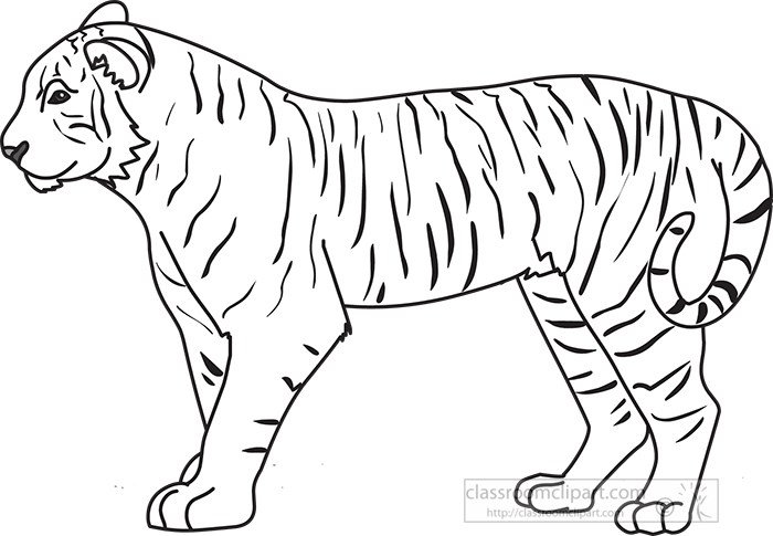 tiger-side-view-black-outline-clipart.jpg