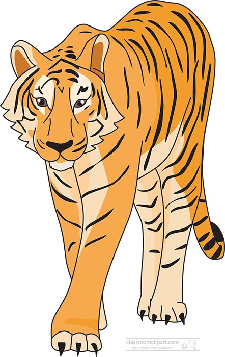 tiger-waling-front-clipart.jpg