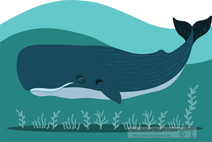 large-spermwhale-swimming-under-the-ocean-clipart.jpg