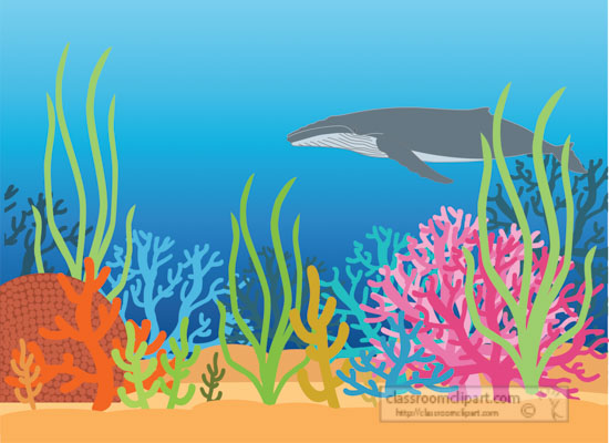 whale-swimming-under-ocean-coral-reefs-clipart.jpg