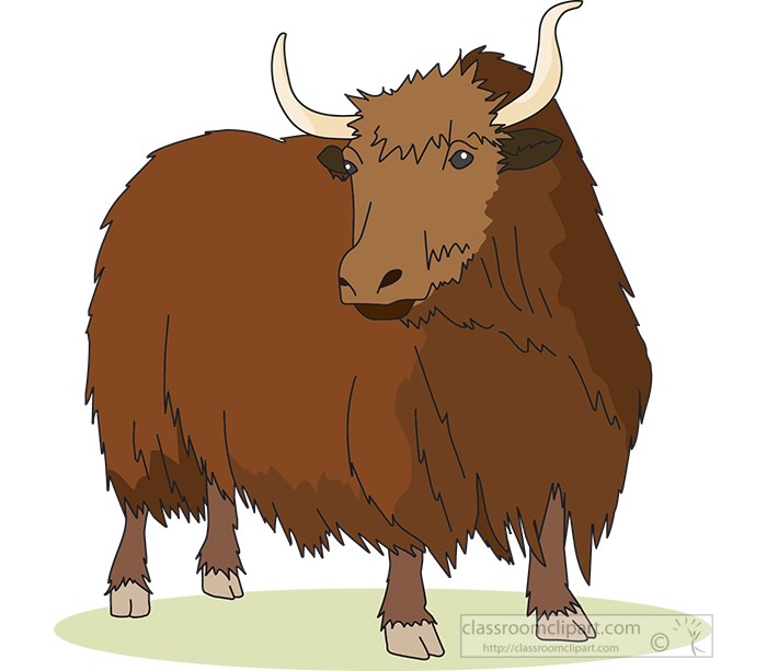 yak-large-horns-animal-tibet-clipart.jpg