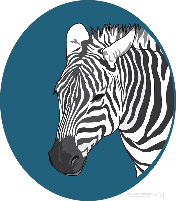 front-face-of-zebra-blue-background-clipart.jpg