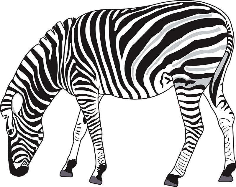 gray-black-white-zebra-clipart.jpg