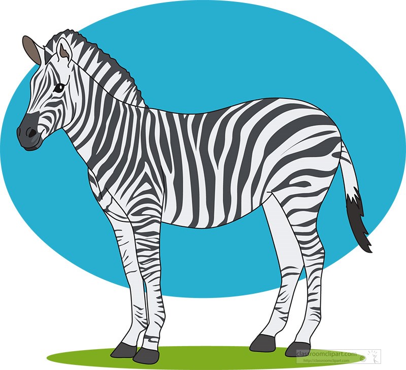 zebra-stading-on-grass-blue-background-clipart.jpg