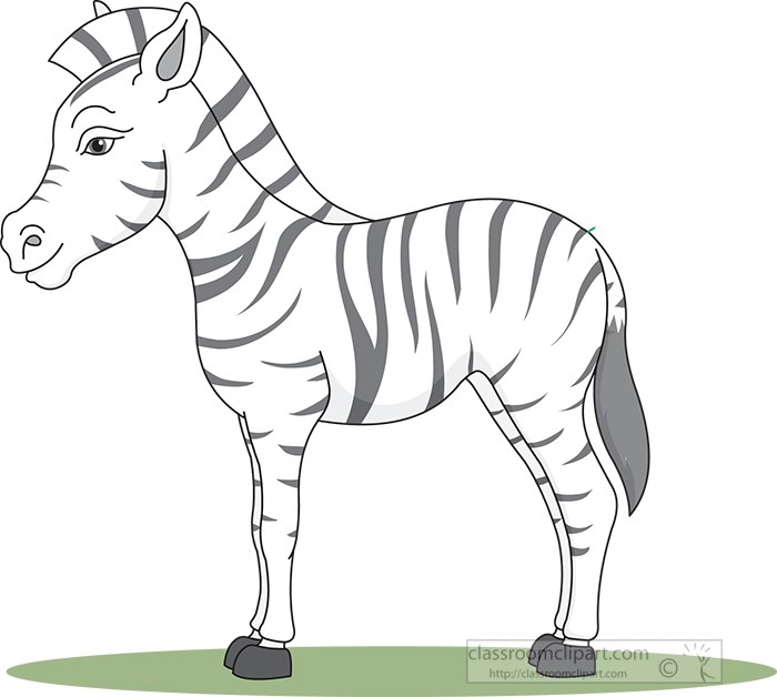 zebra-vector-clipart.jpg