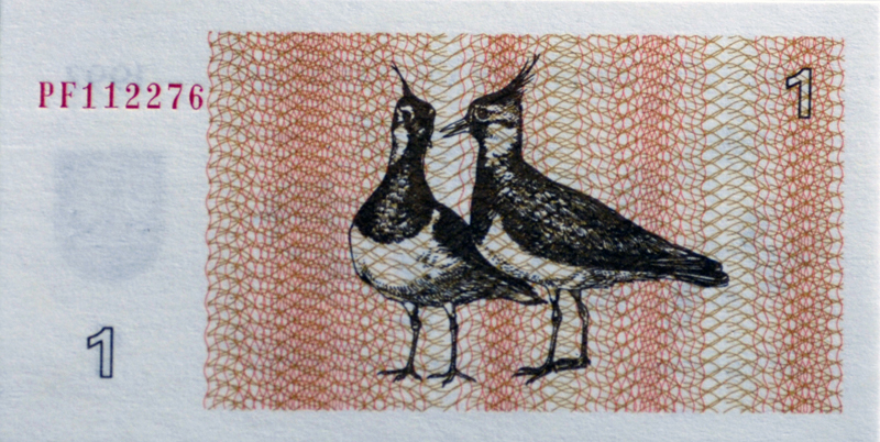 banknote-123.jpg