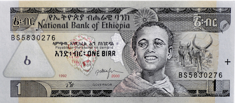 ethiopia-banknote-197.jpg