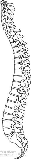 spinal-column-black-white-outline-clipart-120708.jpg