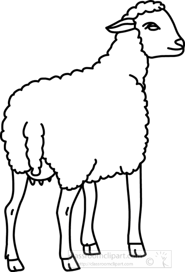 18_22A_sheep_outline.jpg