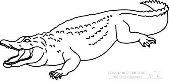 aligator-2012-3-outline.jpg