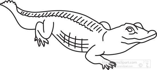 aligator-reptile-1B-2012-outline.jpg