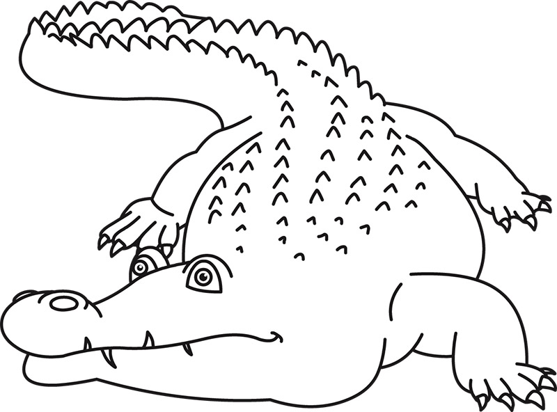 alligator-showing-teeth-black-outline.jpg