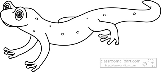 amphibian-spotted-newt-black-white-outline-clipart-910.jpg