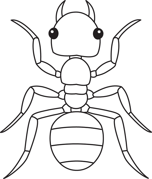 ant-insects-black-white-outline-clipart.jpg
