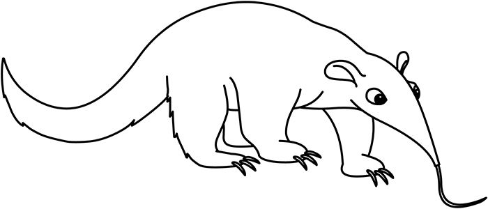 anteater-black-white-outline-clipart.jpg