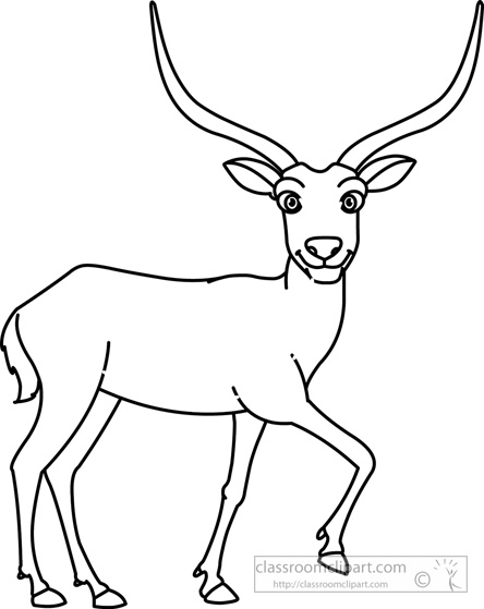 antelope-black-white-outline-clipart-910.jpg